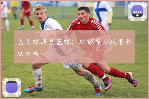 当足球遇见篮球：双球节日观赛终极攻略